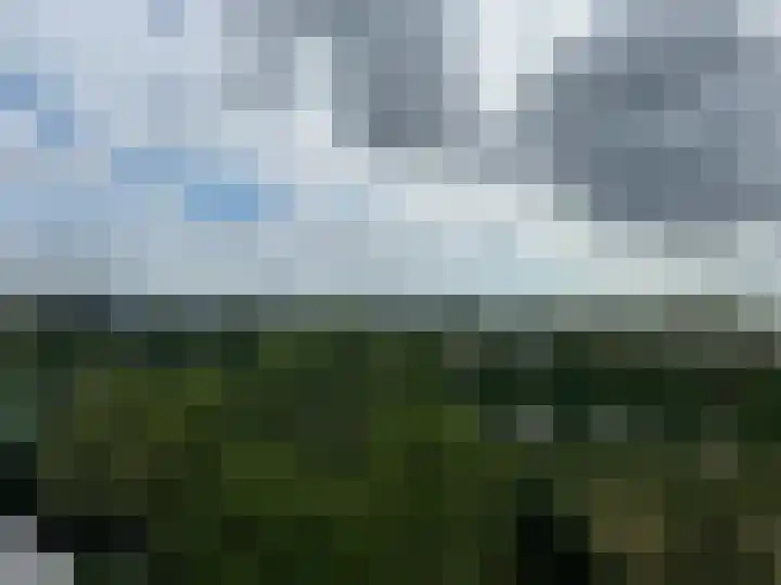 Valeriusrondeel 310 Capelle aan den IJssel thumbnail 17