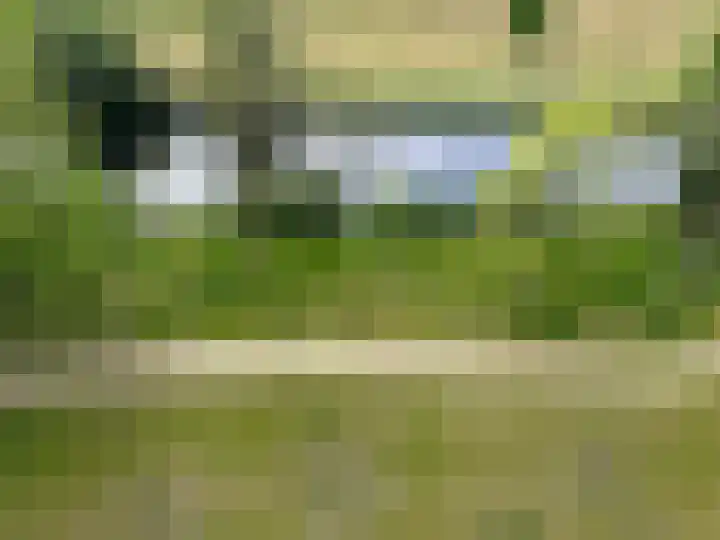 Valeriusrondeel 310 Capelle aan den IJssel thumbnail 18