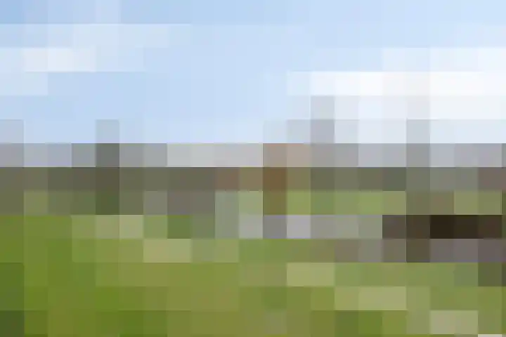 Valeriusrondeel 380 Capelle aan den IJssel thumbnail 16