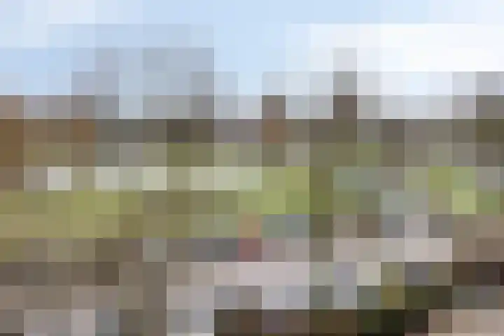 Valeriusrondeel 380 Capelle aan den IJssel thumbnail 17