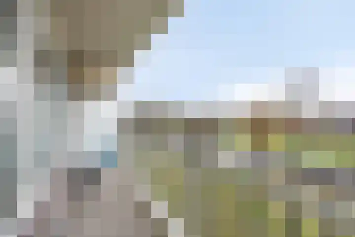 Valeriusrondeel 380 Capelle aan den IJssel thumbnail 4