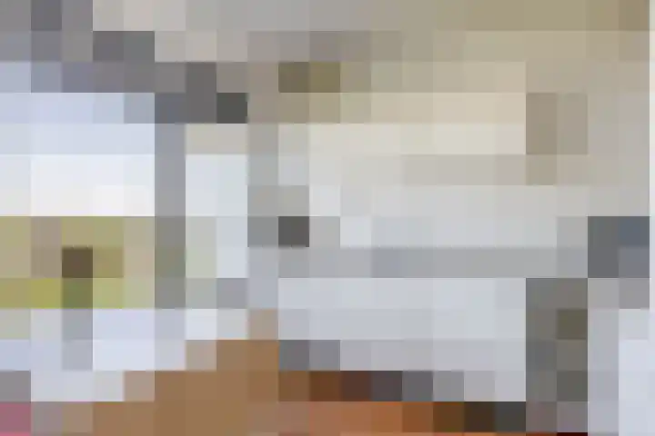 Valeriusrondeel 407 Capelle aan den IJssel thumbnail 16