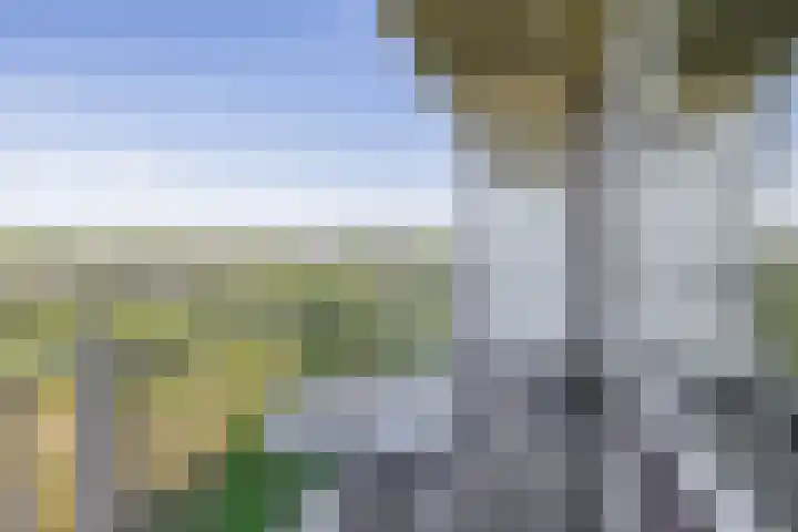 Valeriusrondeel 407 Capelle aan den IJssel thumbnail 19