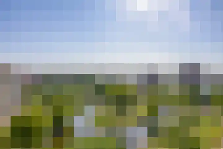 Valeriusrondeel 407 Capelle aan den IJssel thumbnail 20