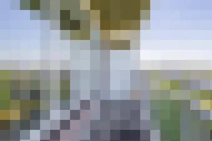 Valeriusrondeel 407 Capelle aan den IJssel thumbnail 21