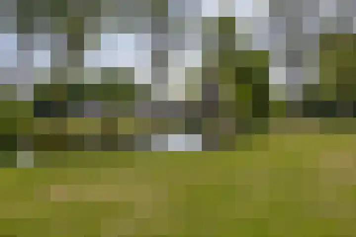 Valeriusrondeel 407 Capelle aan den IJssel thumbnail 27