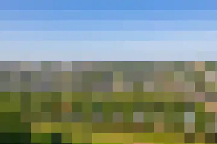 Valeriusrondeel 407 Capelle aan den IJssel thumbnail 34