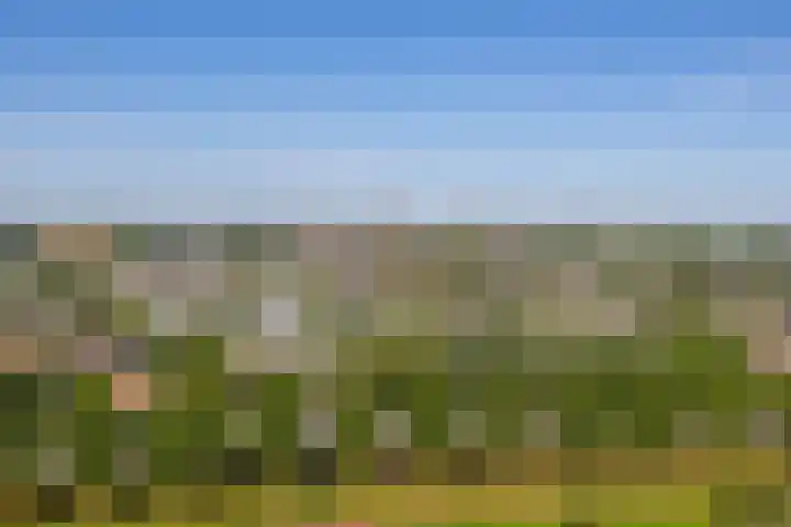 Valeriusrondeel 407 Capelle aan den IJssel thumbnail 35