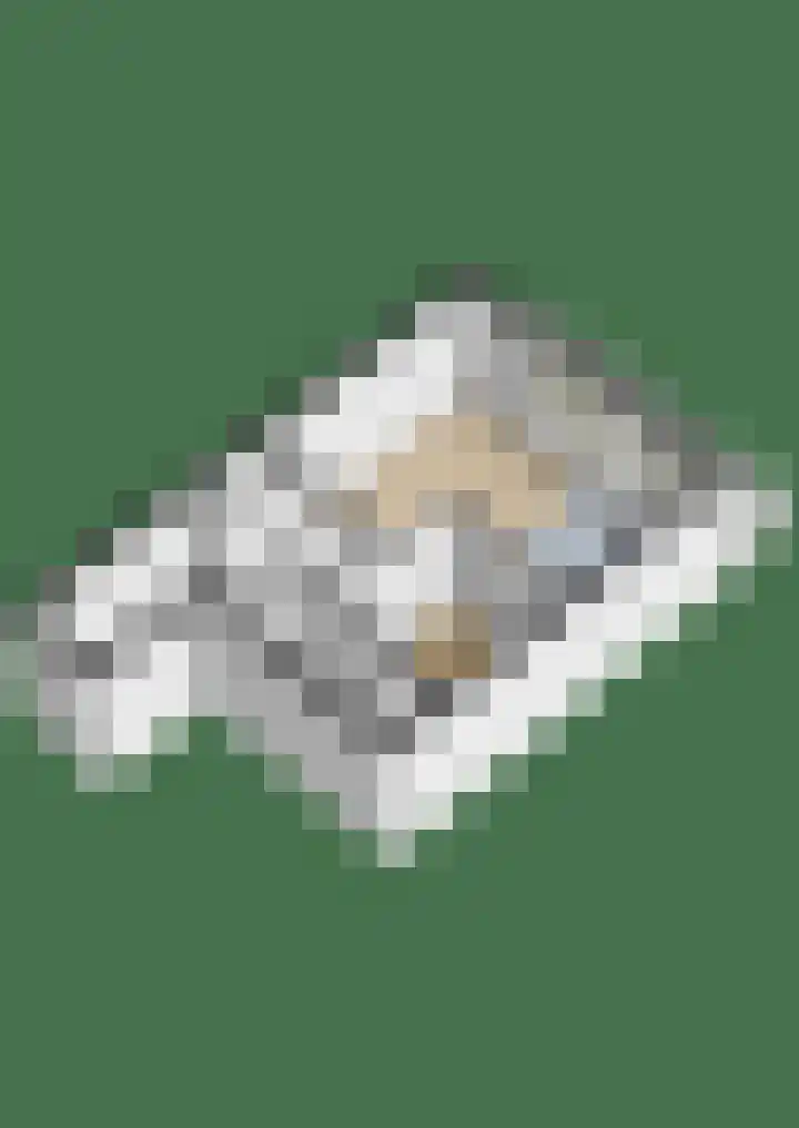 Valeriusrondeel 407 Capelle aan den IJssel thumbnail 37