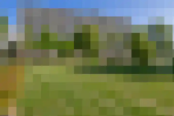 Valeriusrondeel 407 Capelle aan den IJssel thumbnail 7