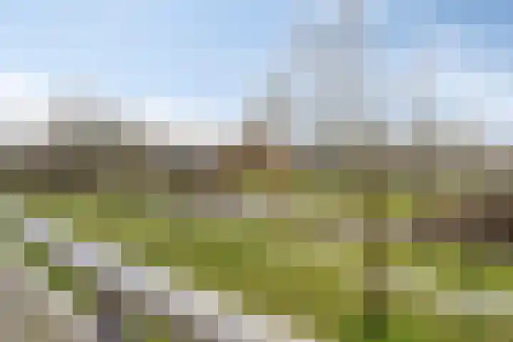 Valeriusrondeel 415 Capelle aan den IJssel thumbnail 14