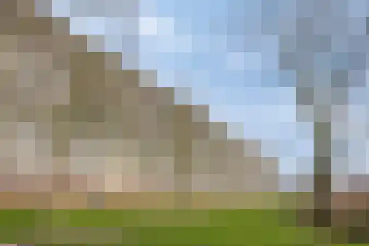 Valeriusrondeel 415 Capelle aan den IJssel thumbnail 15