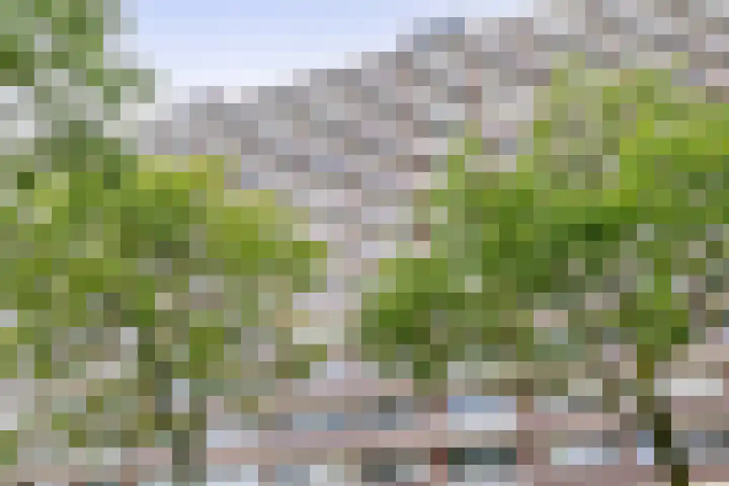 Valeriusrondeel 442 Capelle aan den IJssel thumbnail 6