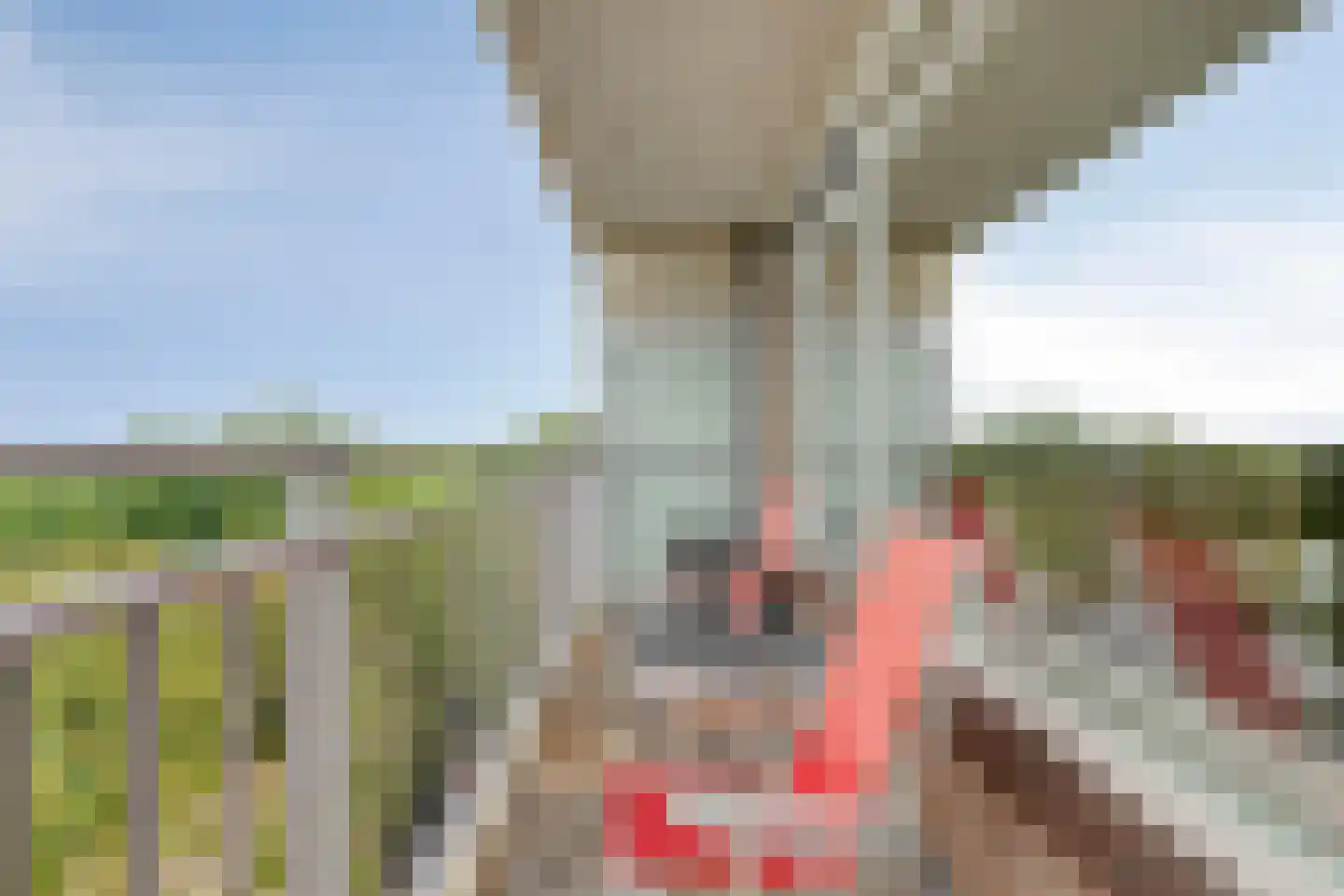 Valeriusrondeel 474 Capelle aan den IJssel thumbnail 16