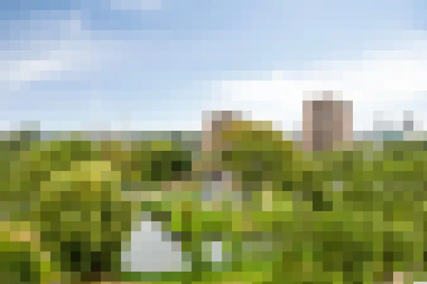 Valeriusrondeel 474 Capelle aan den IJssel thumbnail 20