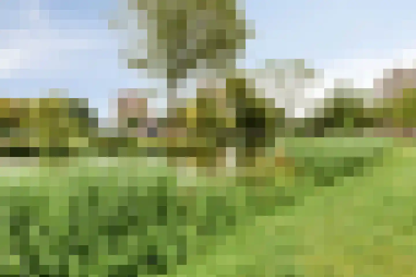 Valeriusrondeel 474 Capelle aan den IJssel thumbnail 21