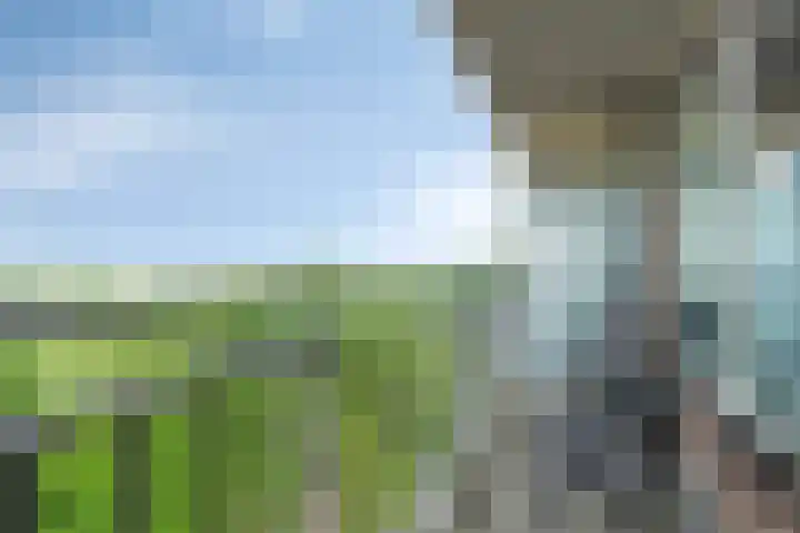 Valeriusrondeel 477 Capelle aan den IJssel thumbnail 10