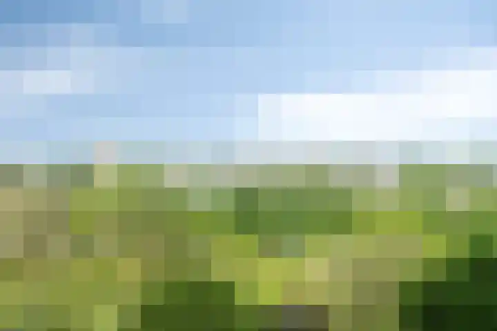 Valeriusrondeel 477 Capelle aan den IJssel thumbnail 11