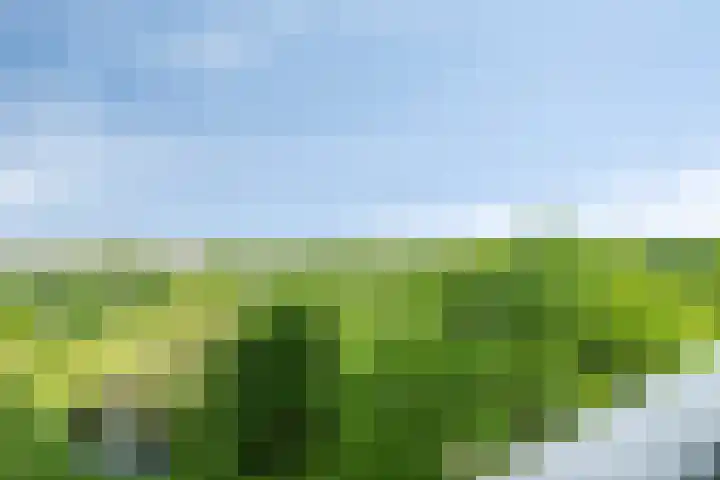 Valeriusrondeel 477 Capelle aan den IJssel thumbnail 13