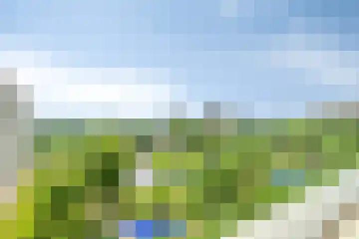 Valeriusrondeel 477 Capelle aan den IJssel thumbnail 17