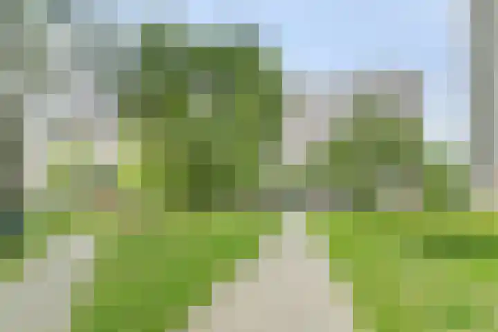 Valeriusrondeel 477 Capelle aan den IJssel thumbnail 18