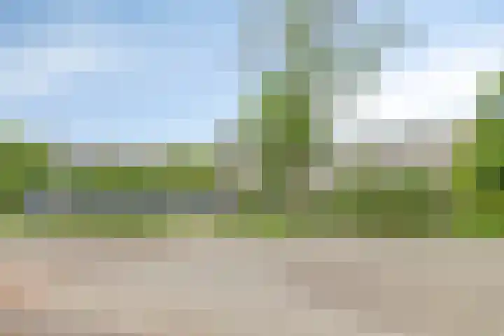 Valeriusrondeel 477 Capelle aan den IJssel thumbnail 19