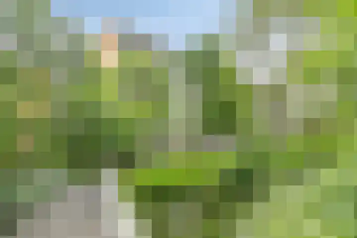 Valeriusrondeel 477 Capelle aan den IJssel thumbnail 20