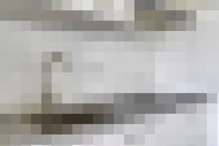 Valeriusrondeel 477 Capelle aan den IJssel thumbnail 8