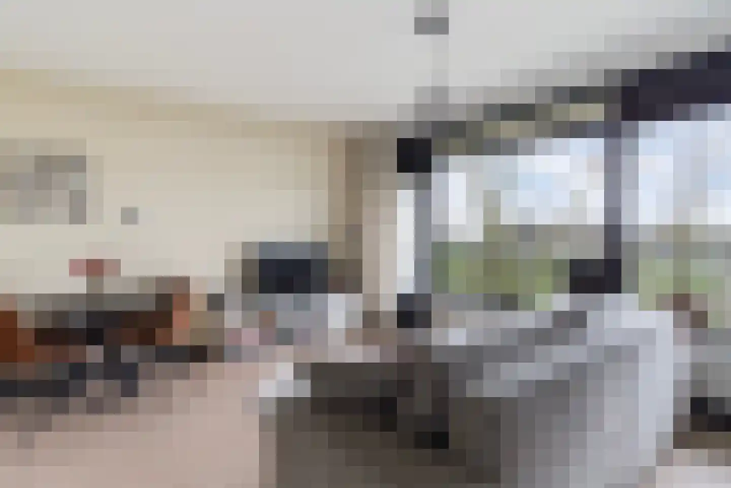 Valeriusrondeel 52 Capelle aan den IJssel thumbnail 18