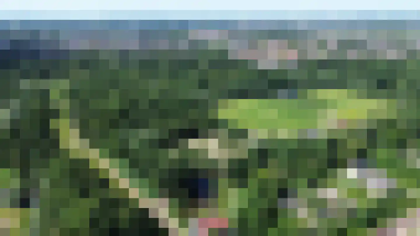Valeriusrondeel 69 Capelle aan den IJssel thumbnail 52