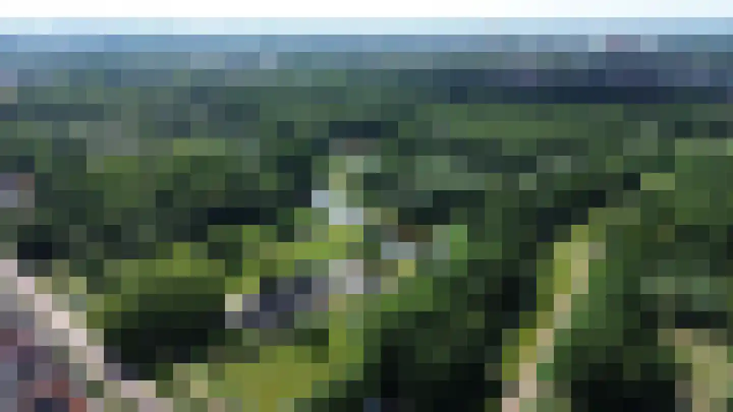 Valeriusrondeel 69 Capelle aan den IJssel thumbnail 53