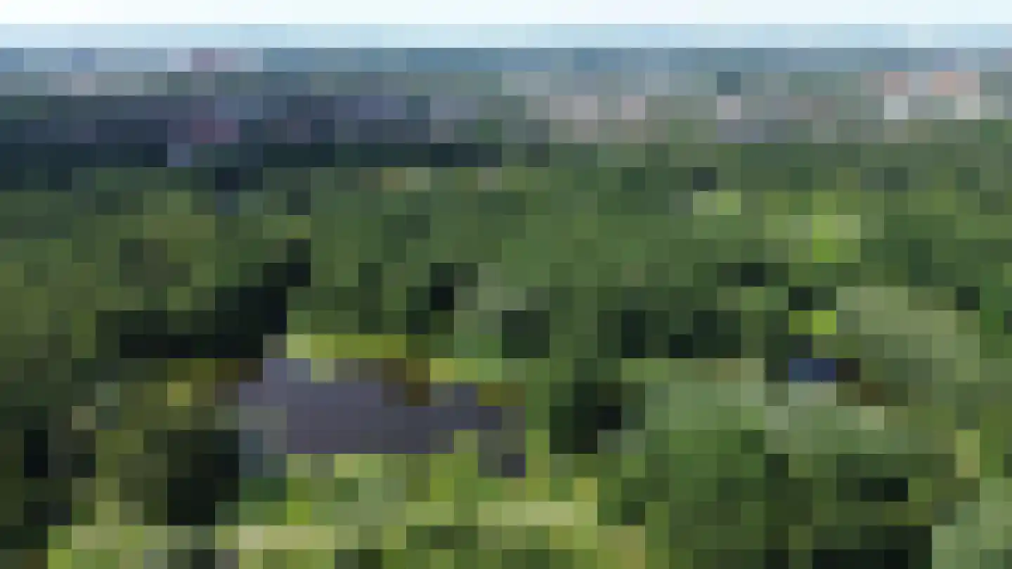 Valeriusrondeel 69 Capelle aan den IJssel thumbnail 56