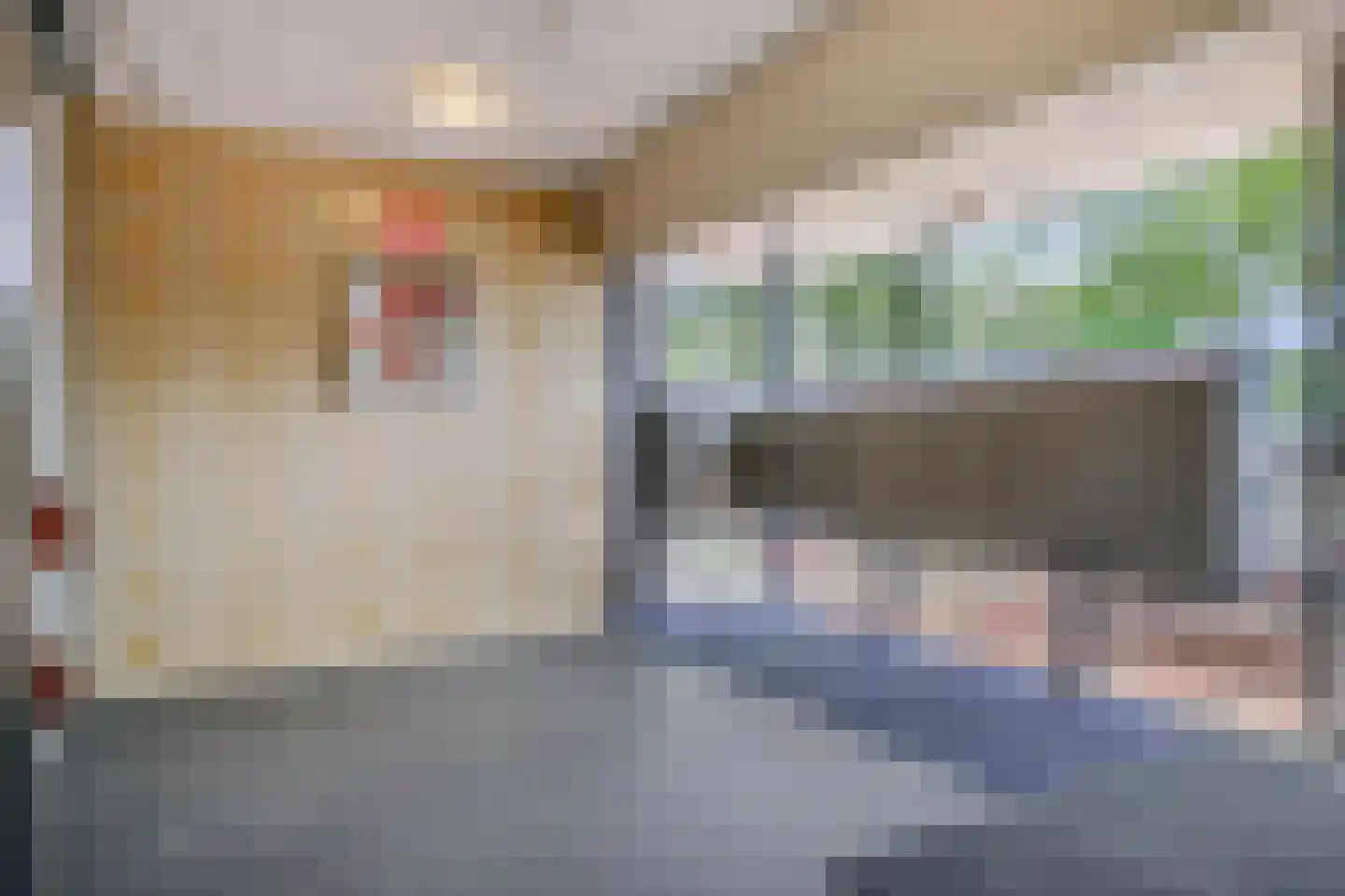Valeriusrondeel 69 Capelle aan den IJssel thumbnail 8