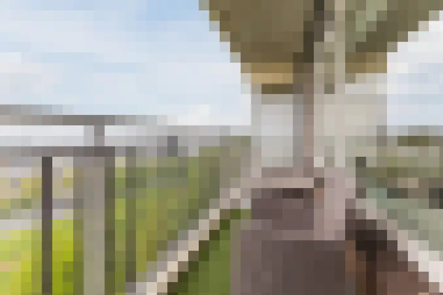 Valeriusrondeel 76 Capelle aan den IJssel thumbnail 25