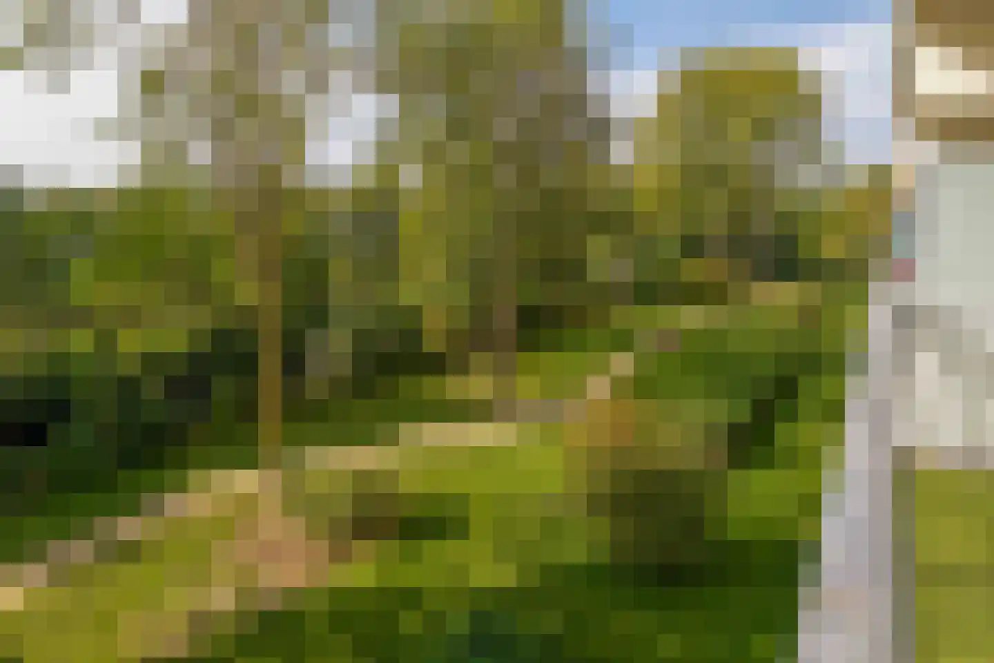 Valeriusrondeel 8 Capelle aan den IJssel thumbnail 17