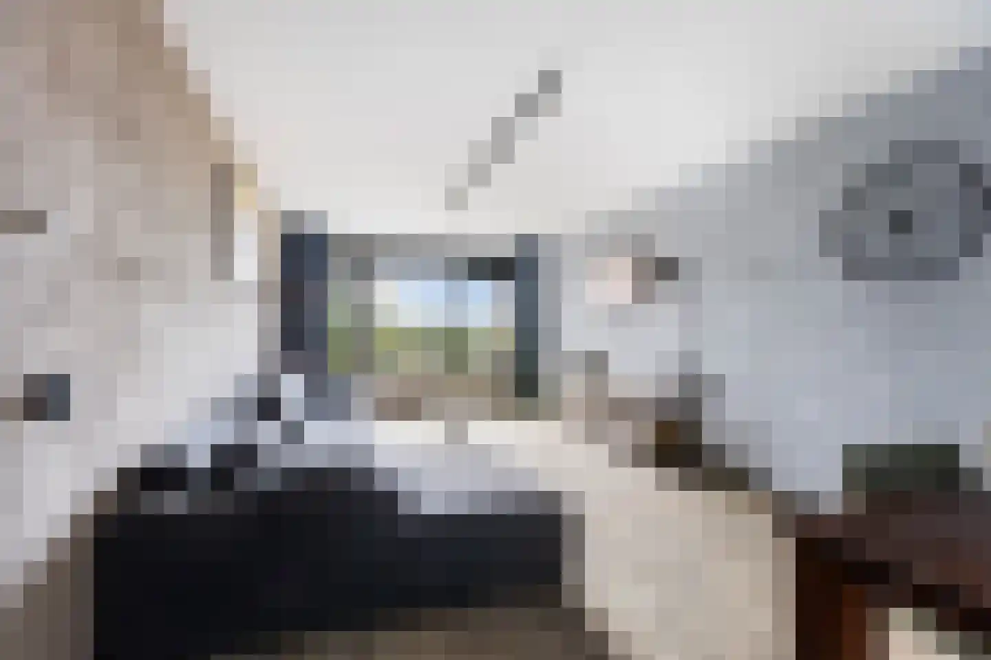 Valeriusrondeel 92 Capelle aan den IJssel thumbnail 12