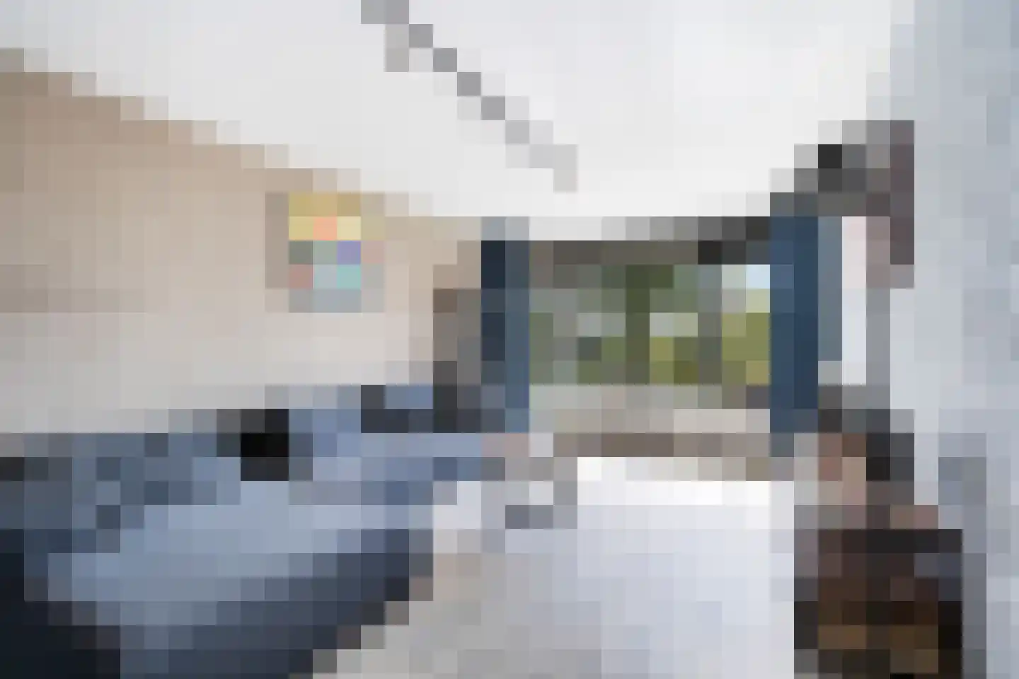 Valeriusrondeel 92 Capelle aan den IJssel thumbnail 13
