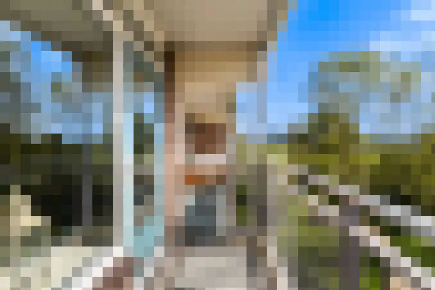 Valeriusrondeel 92 Capelle aan den IJssel thumbnail 14
