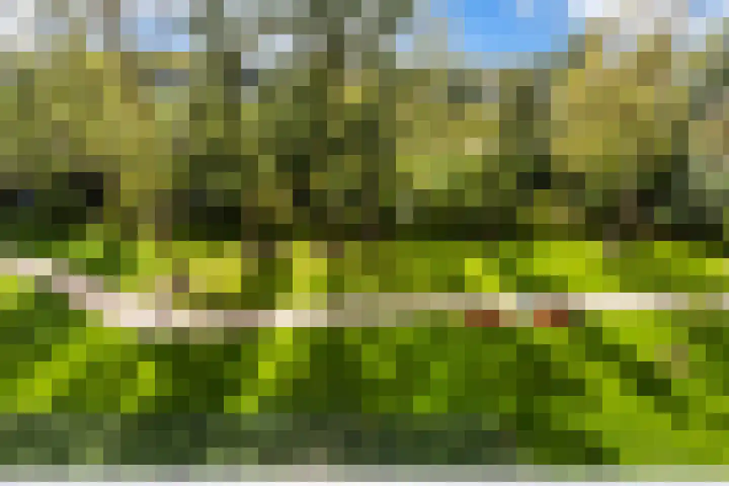 Valeriusrondeel 92 Capelle aan den IJssel thumbnail 15