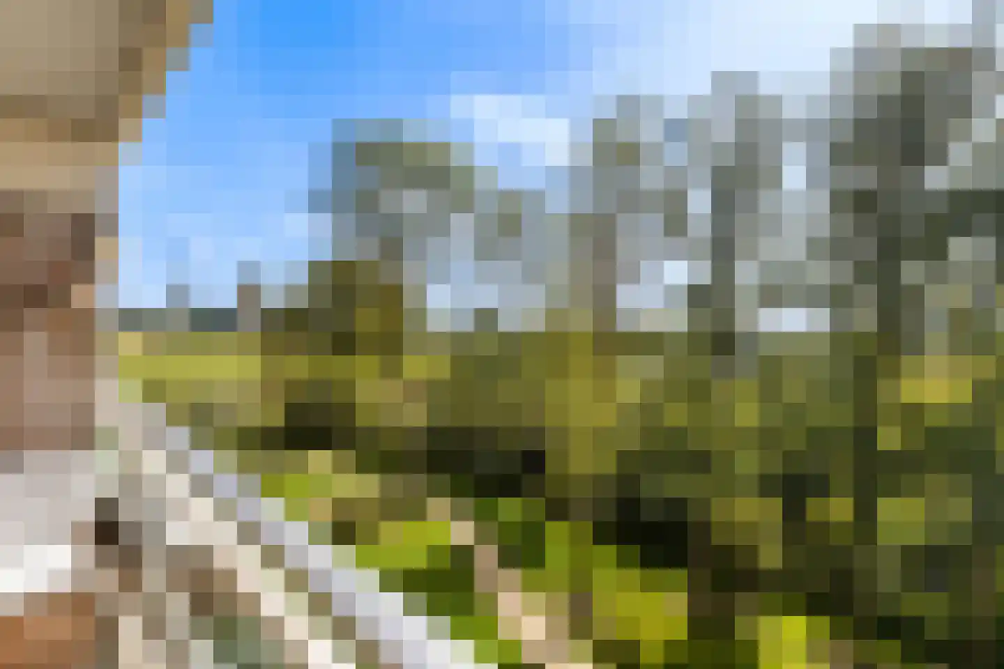 Valeriusrondeel 92 Capelle aan den IJssel thumbnail 8