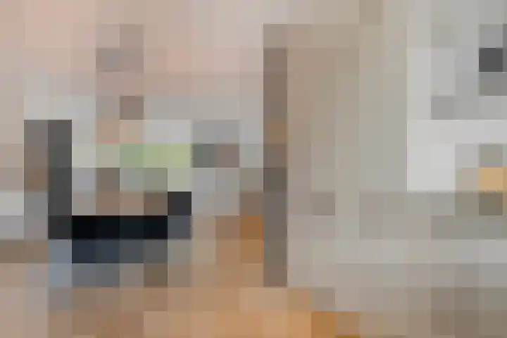 Valeriussingel 19 Zwijndrecht thumbnail 14