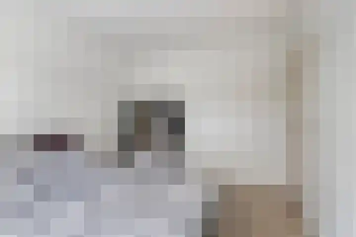 Valeriussingel 19 Zwijndrecht thumbnail 21
