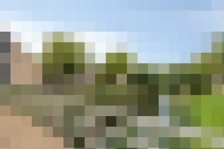 Valeriussingel 19 Zwijndrecht thumbnail 5