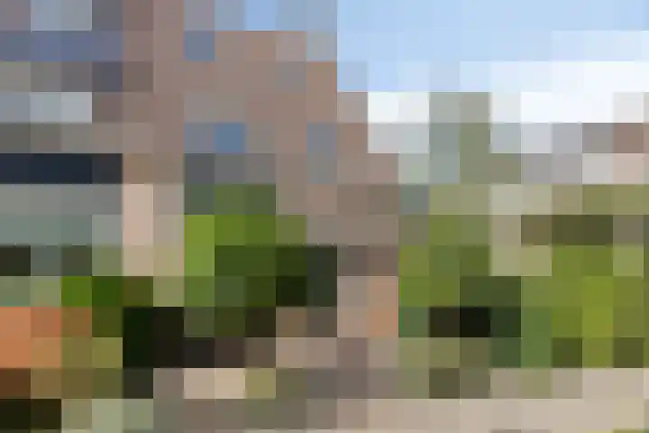 Valeriussingel 19 Zwijndrecht thumbnail 6