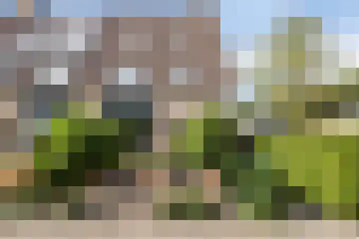 Valeriussingel 19 Zwijndrecht thumbnail 7