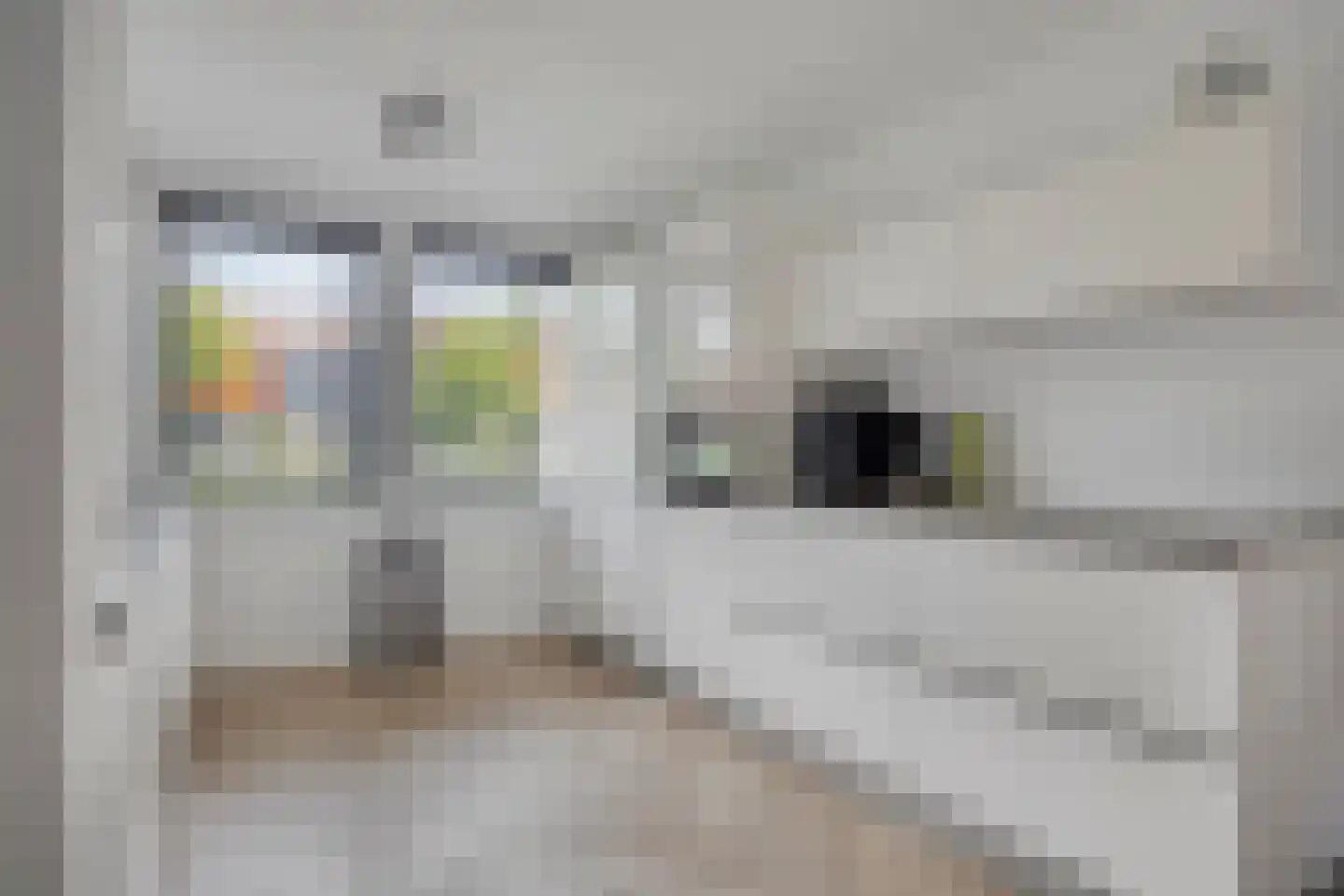 Valeriussingel 43 Zwijndrecht thumbnail 13