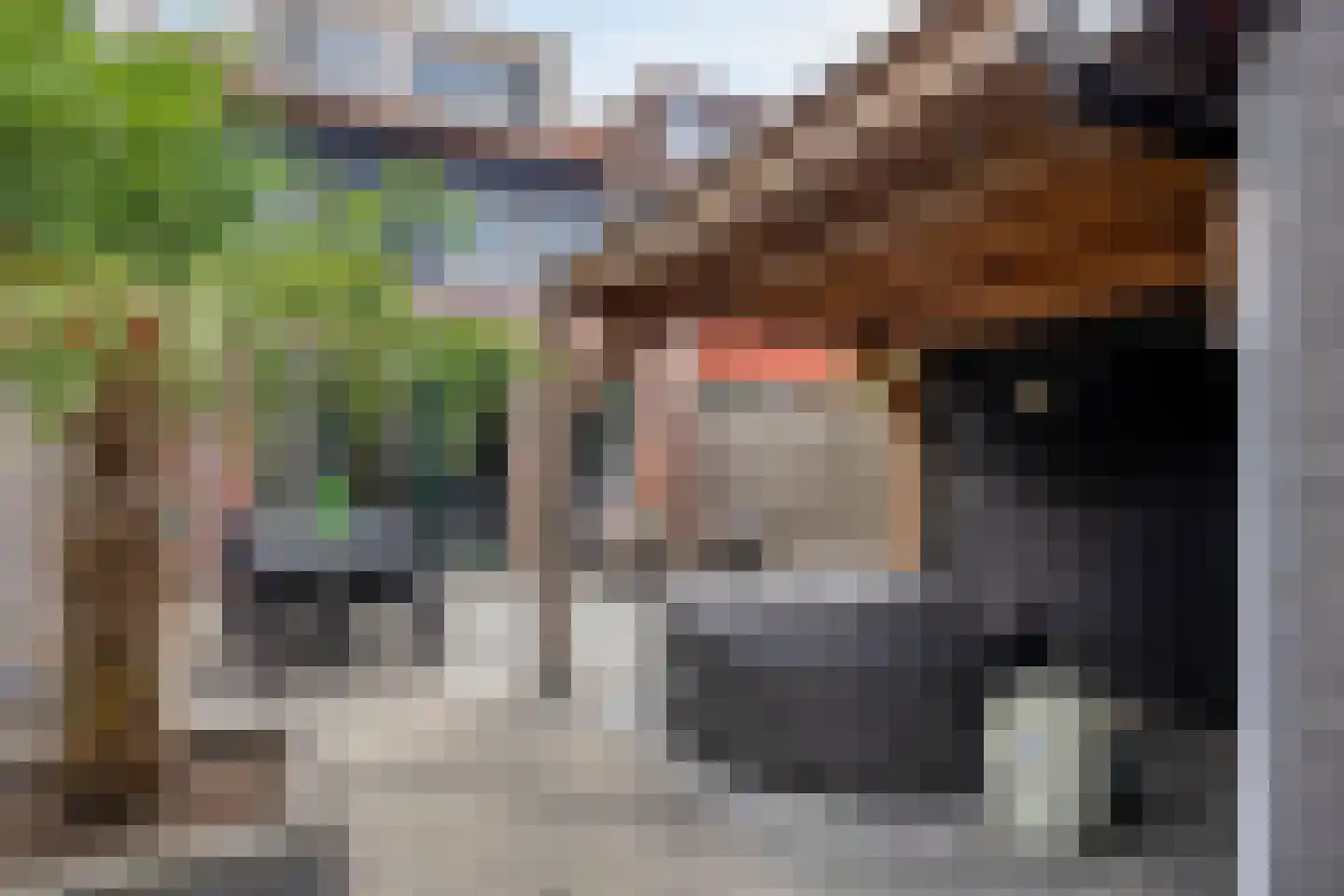 Valeriussingel 43 Zwijndrecht thumbnail 27