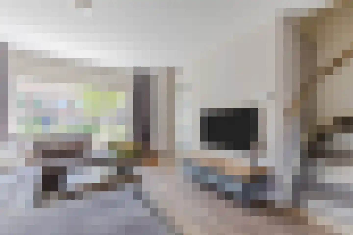 Valeriussingel 73 Zwijndrecht thumbnail 11