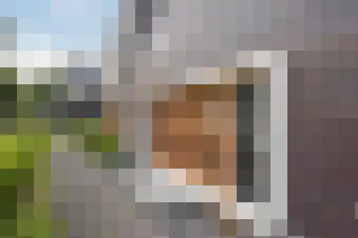 Valeriusstraat 1 B Schiedam thumbnail 30