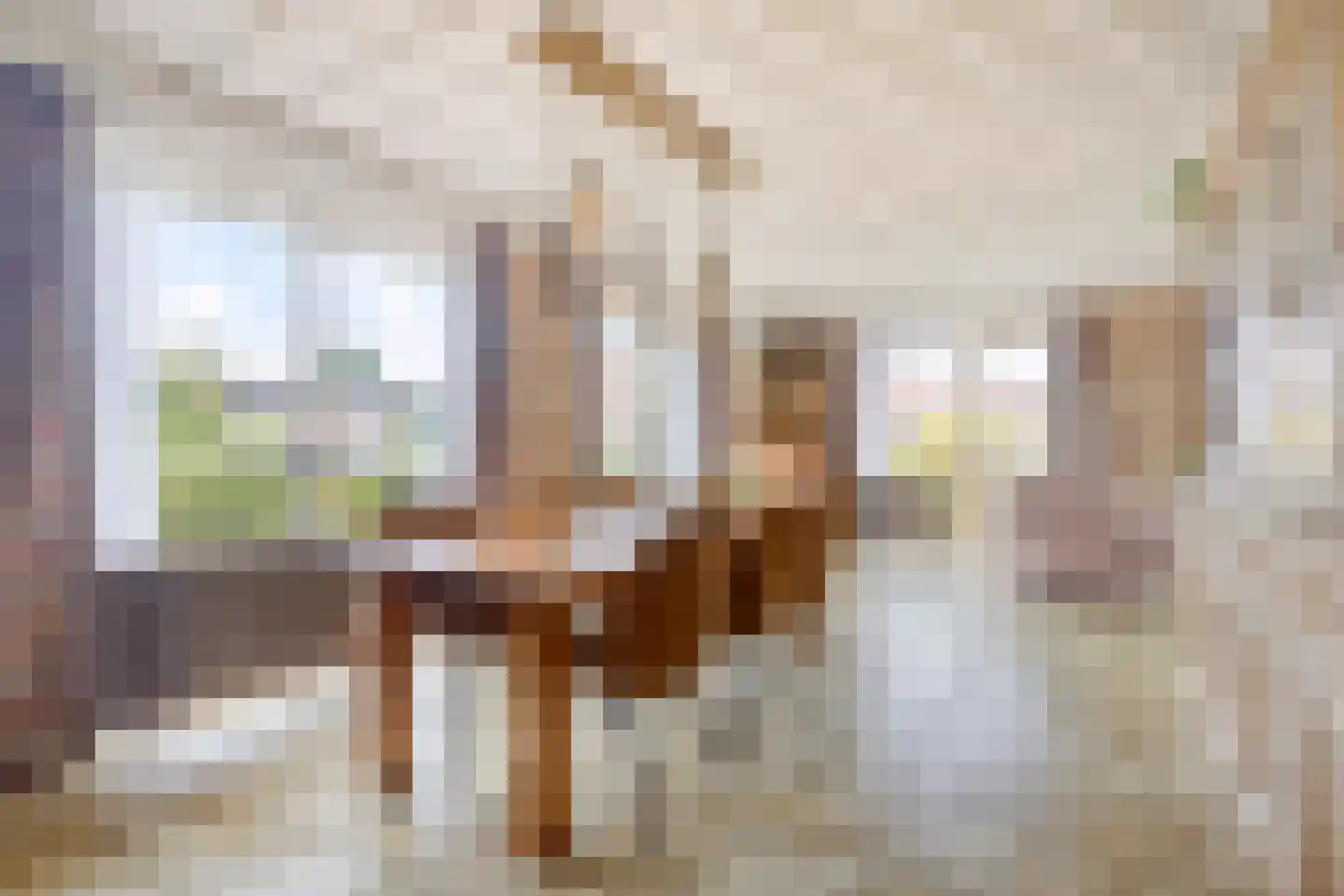 Valeriusstraat 1 Drunen thumbnail 11